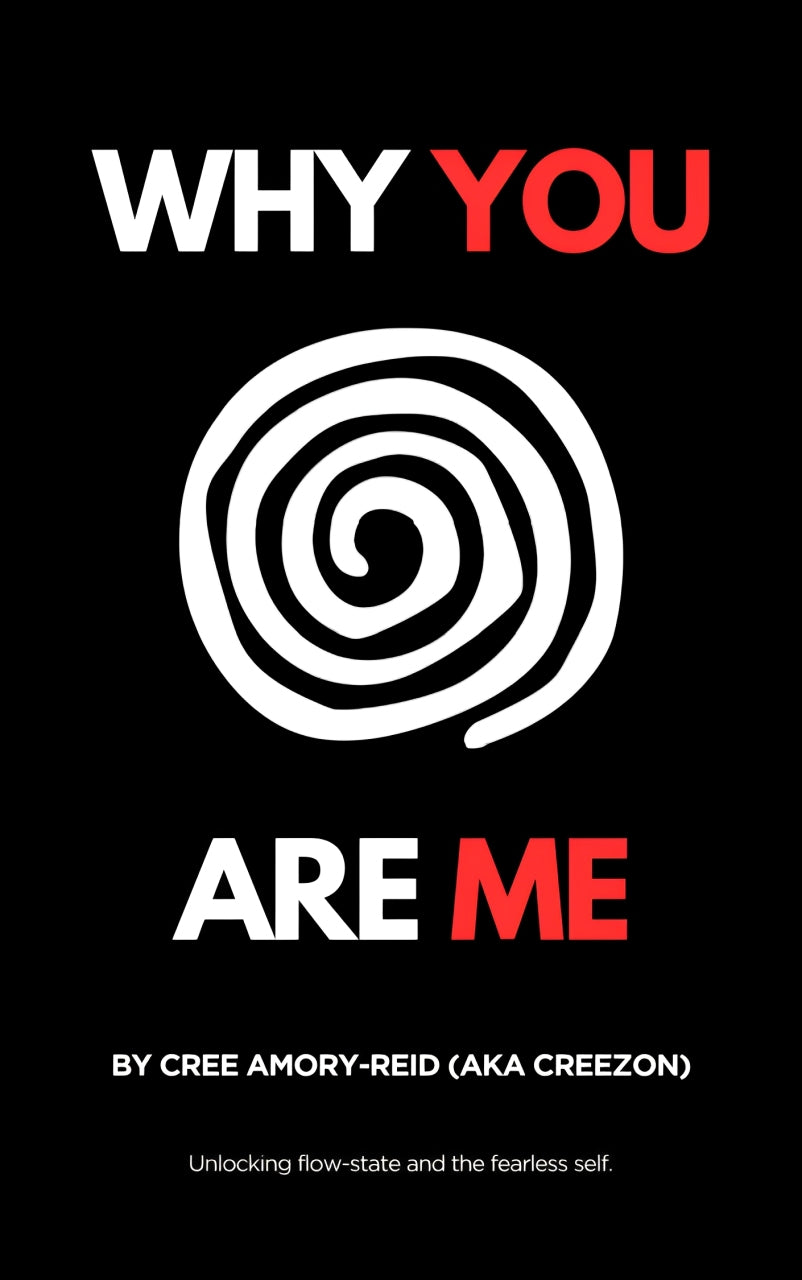 WHY YOU ARE ME (E-Book)