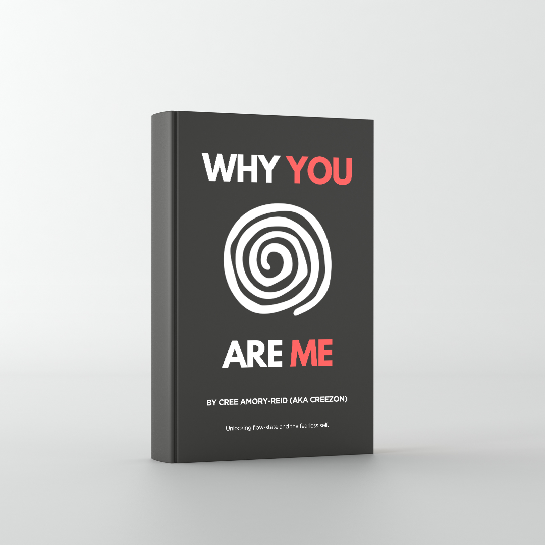 WHY YOU ARE ME (E-Book)